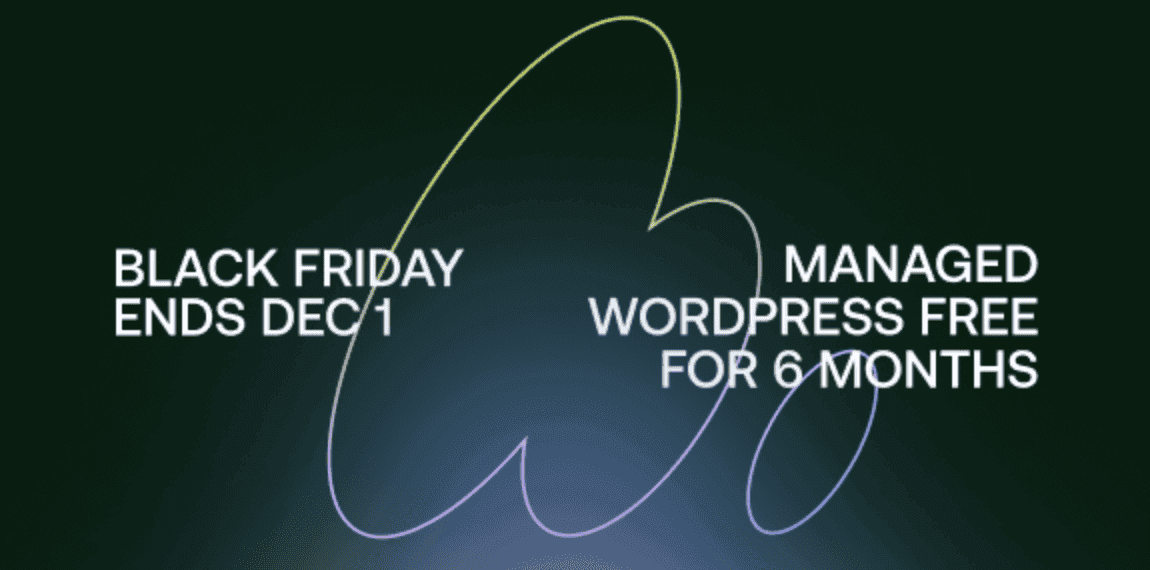 How expert WordPress maintenance boosts SEO, speed, and revenue